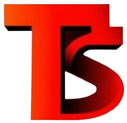 TONGSHEN STONE logo